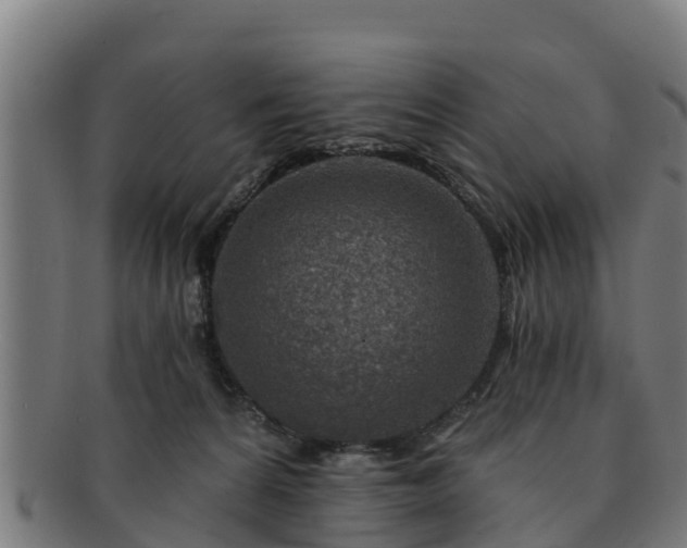 X0000091720224200708311146