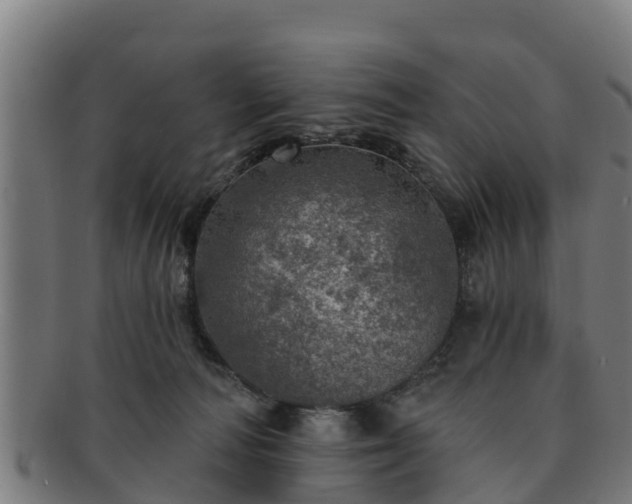 X0000091720226200708311146