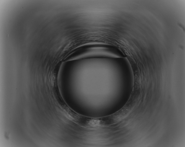 X0000091720227200708311146