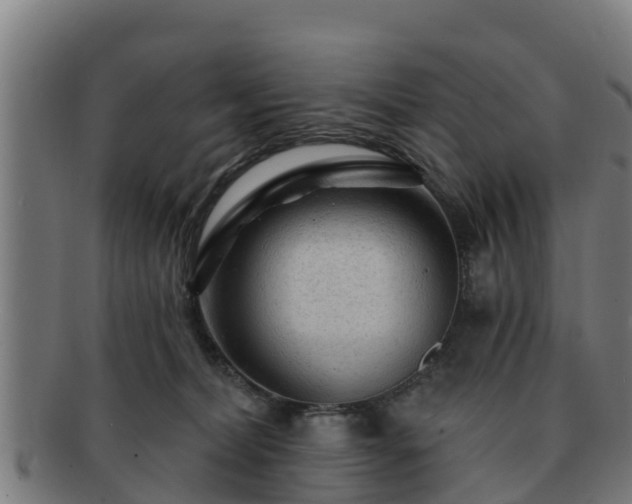 X0000091720228200708311146