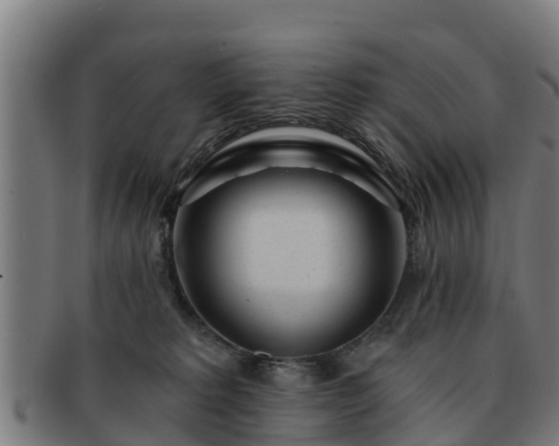 X0000091720229200708311146