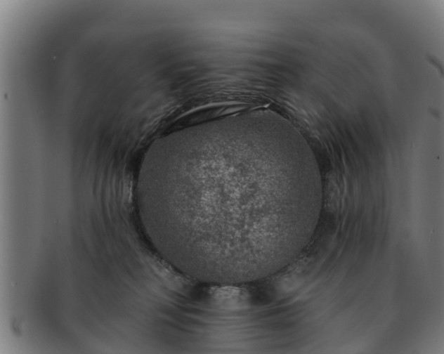 X0000091720230200708311146