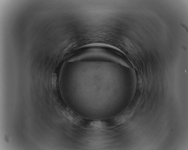 X0000091720231200708311146