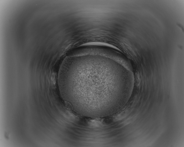 X0000091720232200708311146