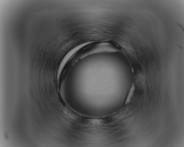 X0000091720233200708311146