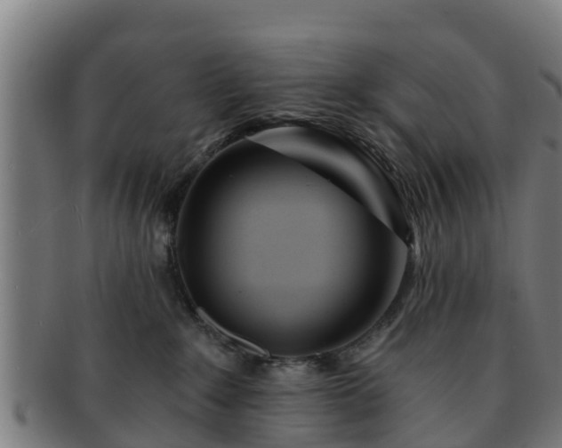 X0000091720235200708311146