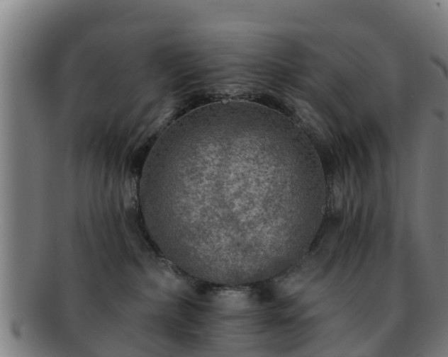 X0000091720236200708311146