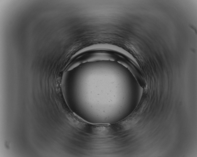 X0000091720237200708311146