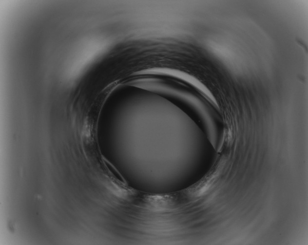 X0000091720239200708311146