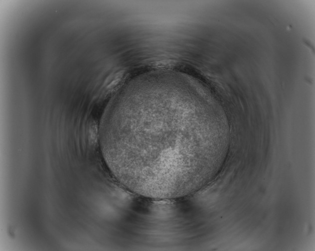 X0000091720240200708311146