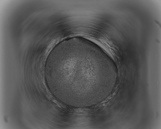 X0000091720241200708311145