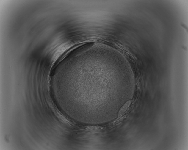 X0000091720242200708311145