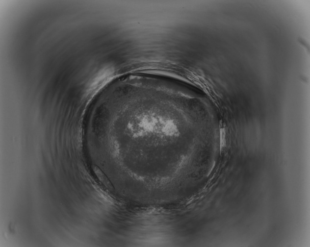 X0000091720243200708311145