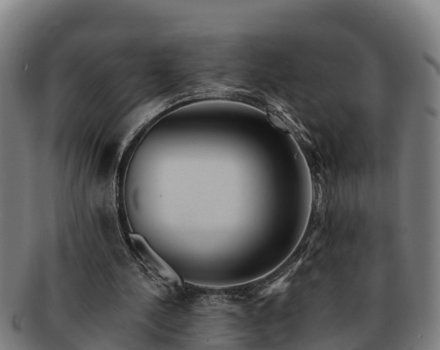 X0000091720244200708311145