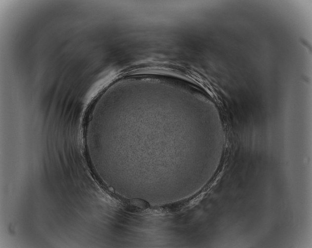 X0000091720245200708311145