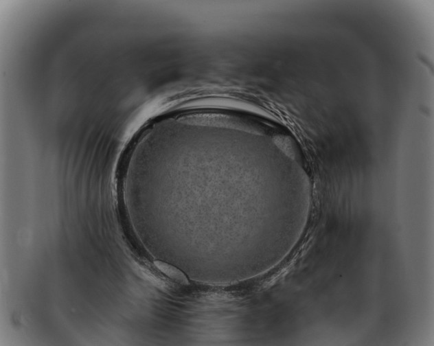 X0000091720246200708311145