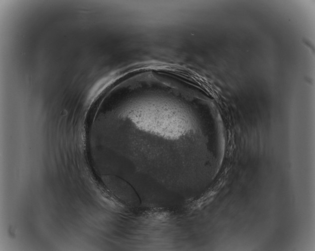 X0000091720247200708311145