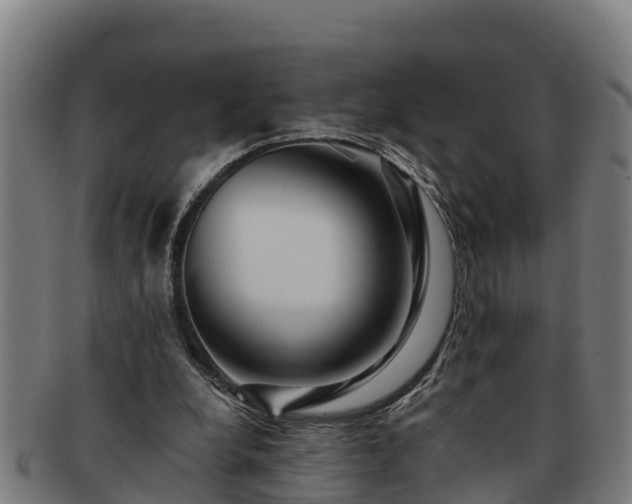 X0000091720248200708311145