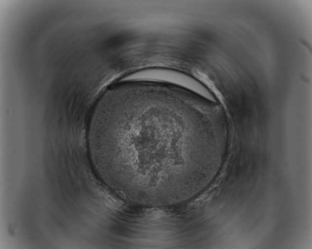 X0000091720249200708311145