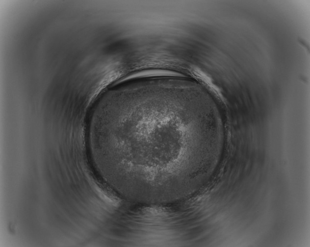 X0000091720250200708311145