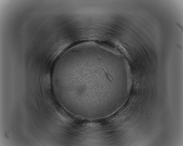 X0000091720251200708311145