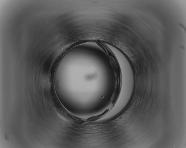 X0000091720252200708311145