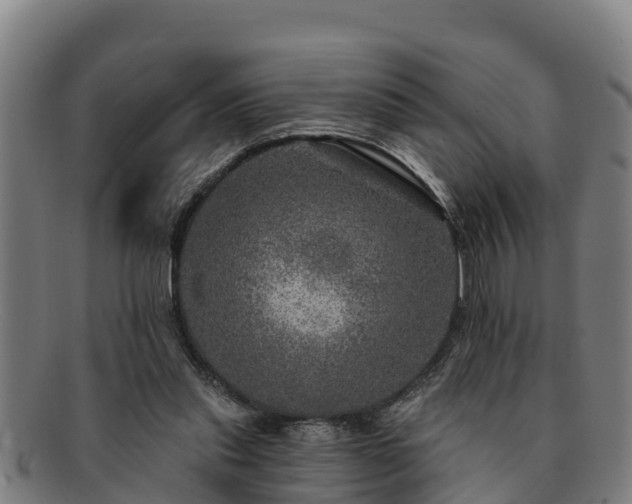 X0000091720253200708311145