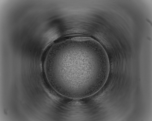 X0000091720254200708311145