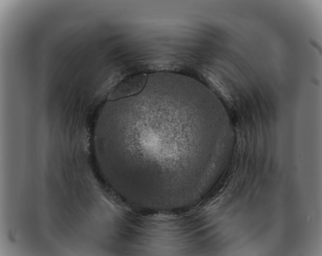 X0000091720255200708311145