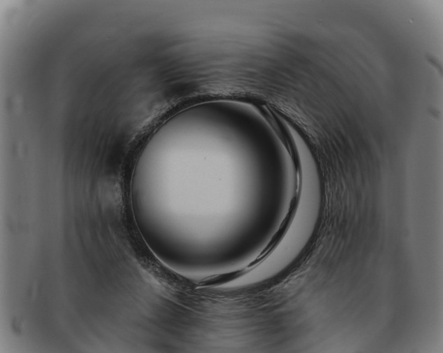 X0000091720256200708311145