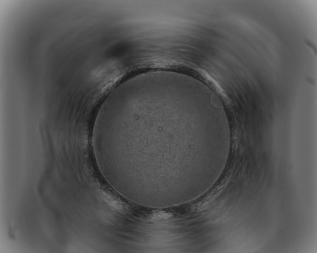 X0000091720257200708311145