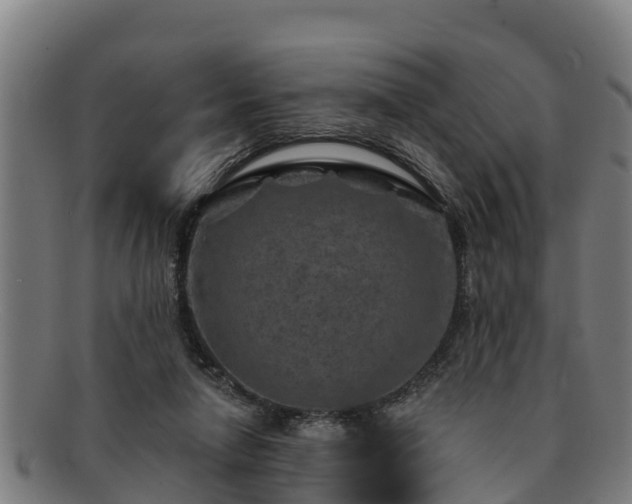 X0000091720258200708311145