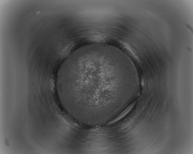 X0000091720259200708311145