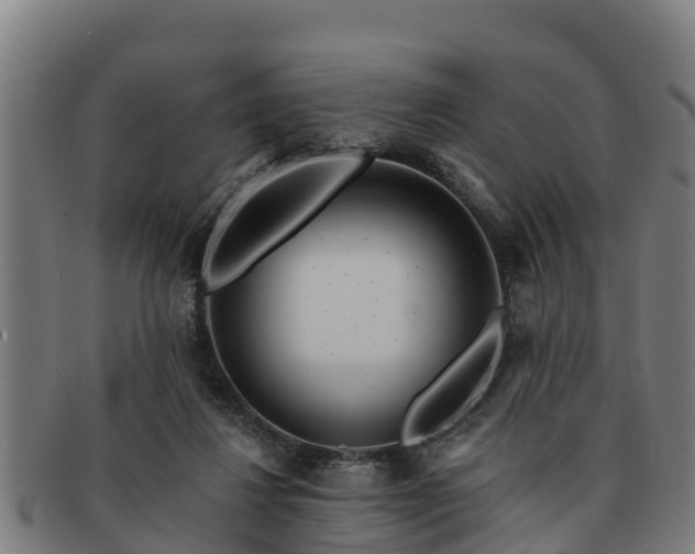 X0000091720260200708311145