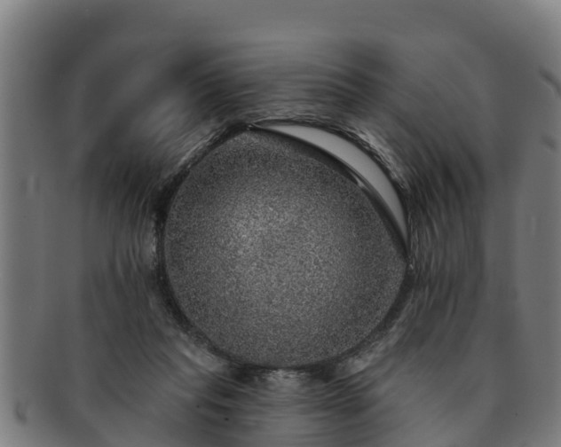 X0000091720261200708311145