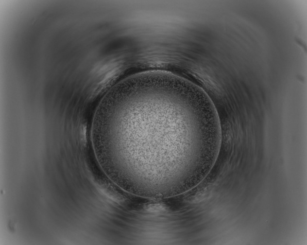 X0000091720262200708311145