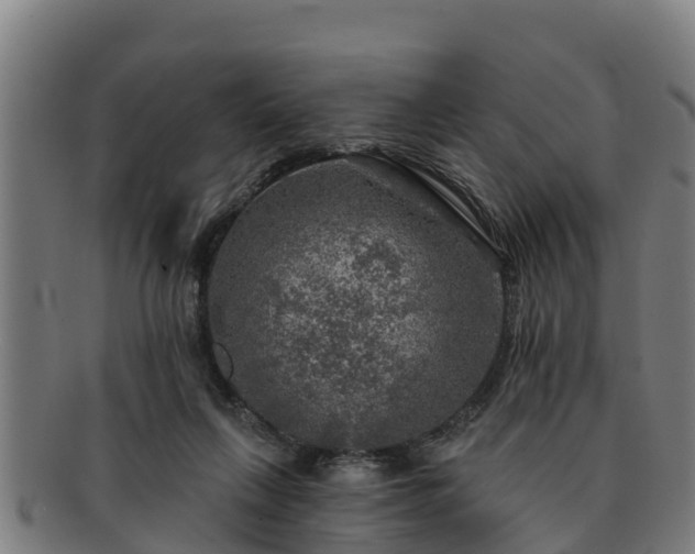 X0000091720263200708311145