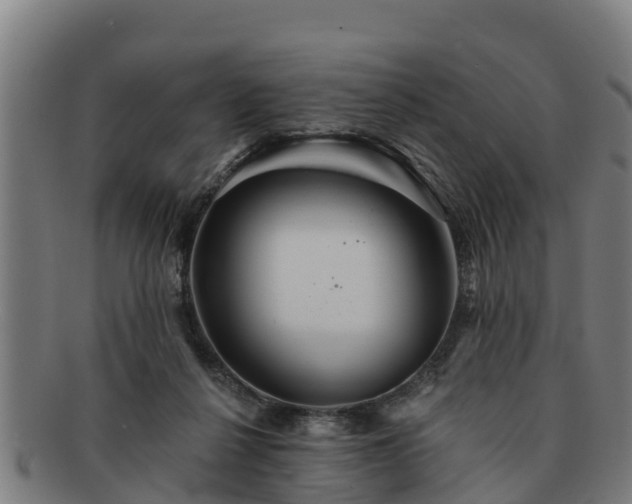 X0000091720264200708311145