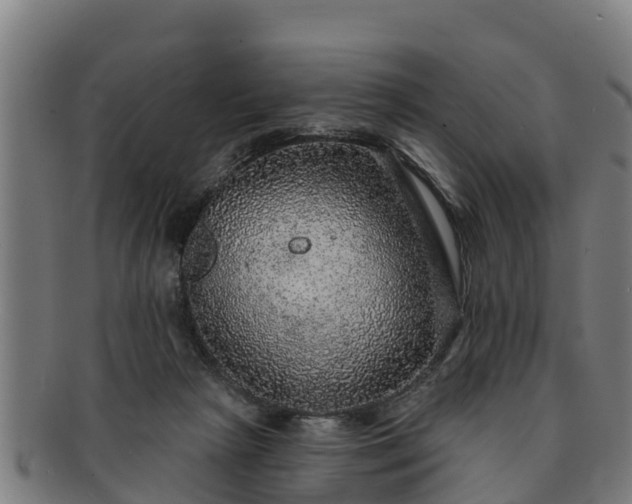 X0000091720265200708311145