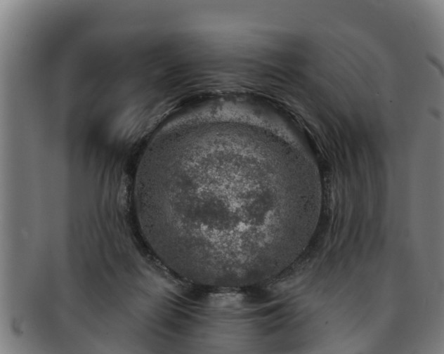 X0000091720266200708311145