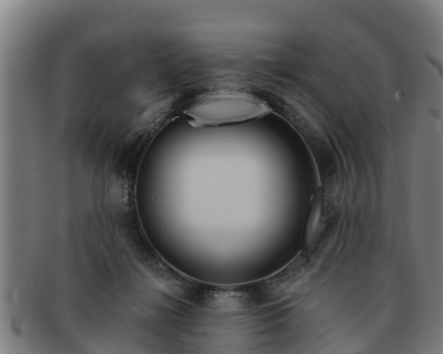 X0000091720268200708311145