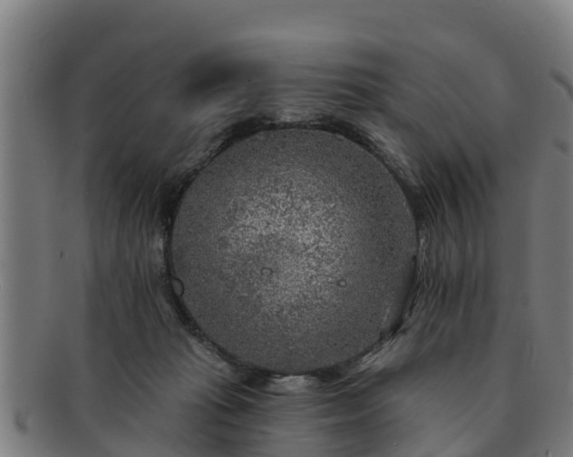 X0000091720269200708311145