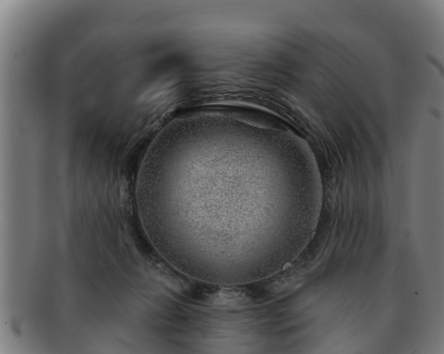 X0000091720270200708311145