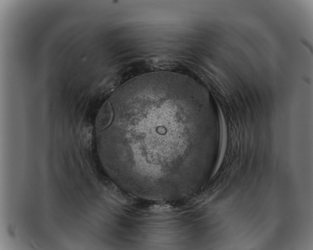 X0000091720271200708311145