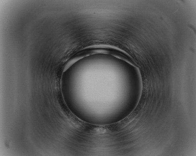 X0000091720272200708311145