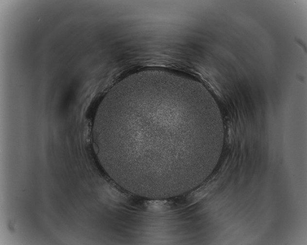 X0000091720273200708311145