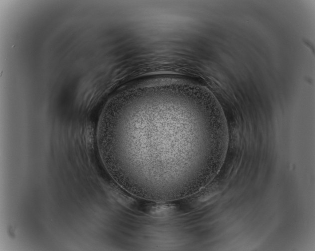 X0000091720274200708311145