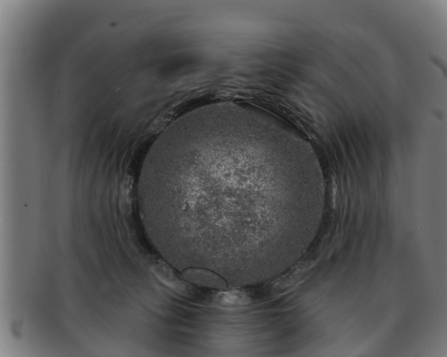 X0000091720275200708311145