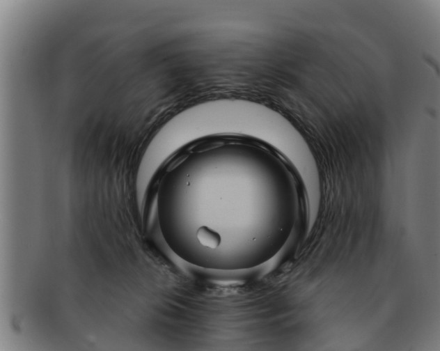 X0000091720276200708311145