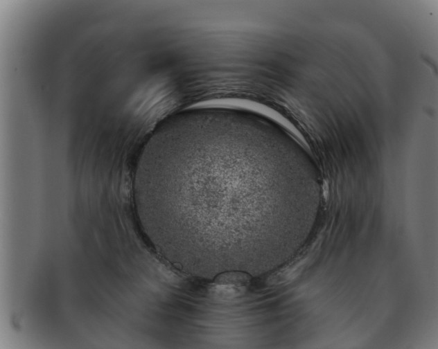 X0000091720277200708311145